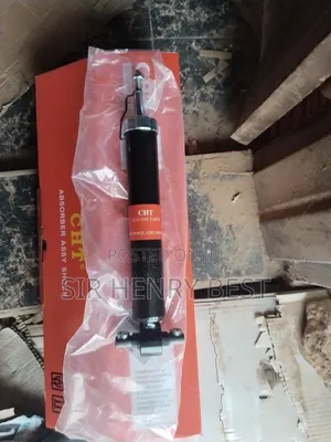 Rear Shocks Absorbers Ford Edge 2015