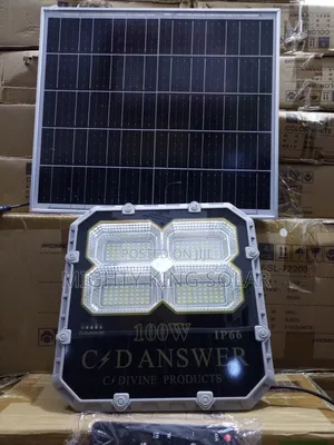 C Danswer 100w Led Flood Light