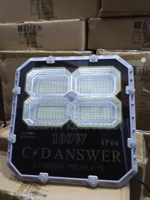 C Danswer 100w Led Flood Light