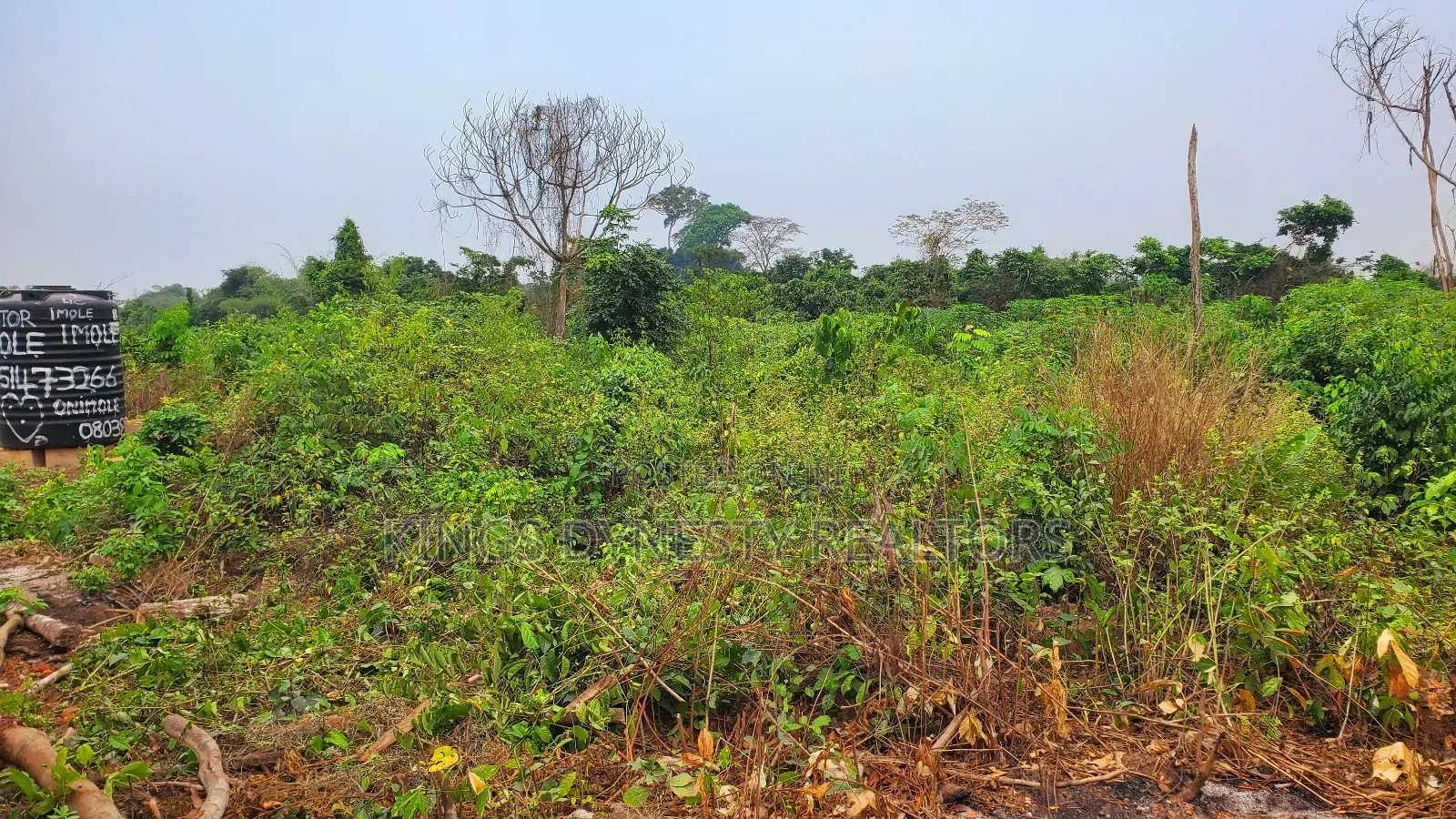 Land Property