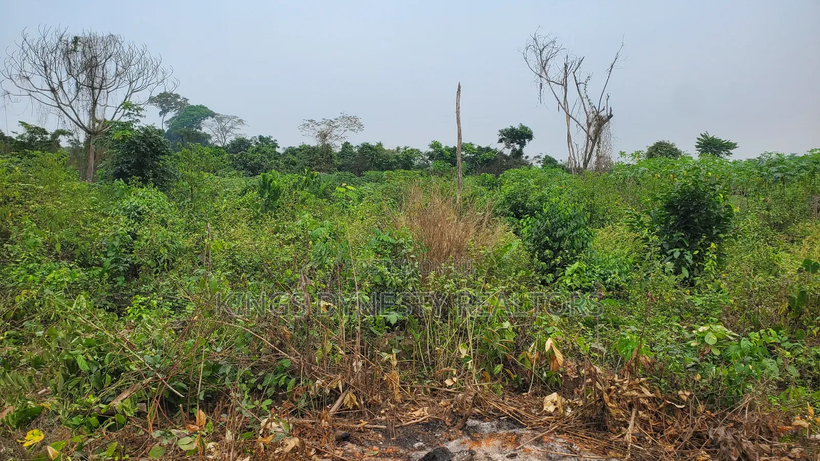 Land Property