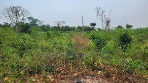 Land Property