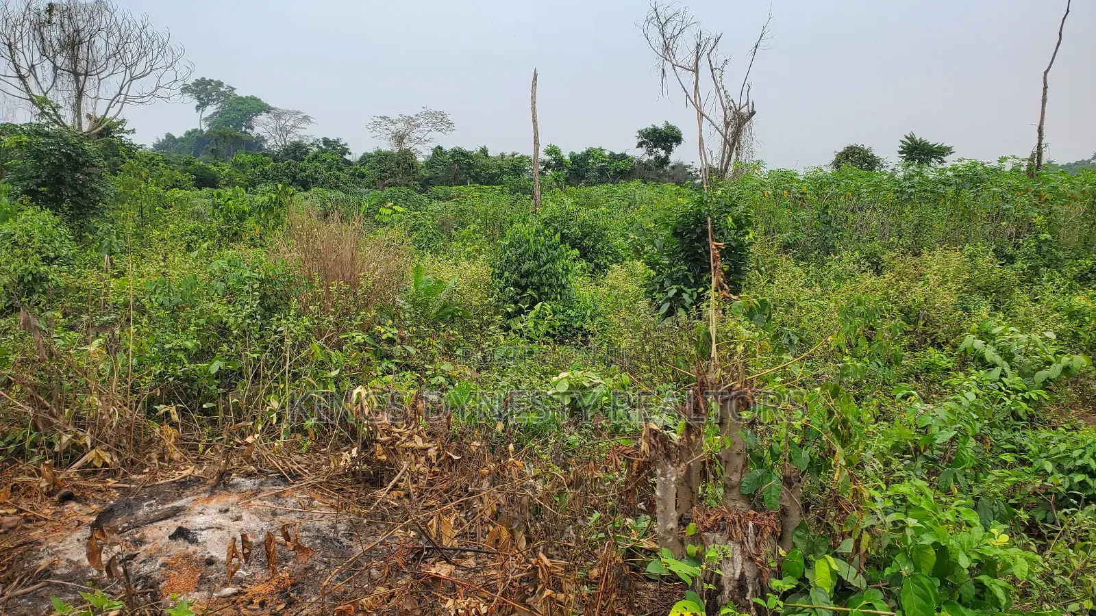 Land Property