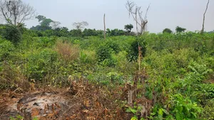 Land Property