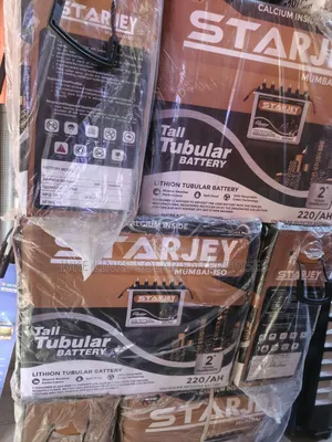 220a Tall Tubular Battery