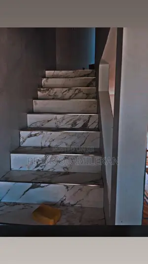 Professional Tiler