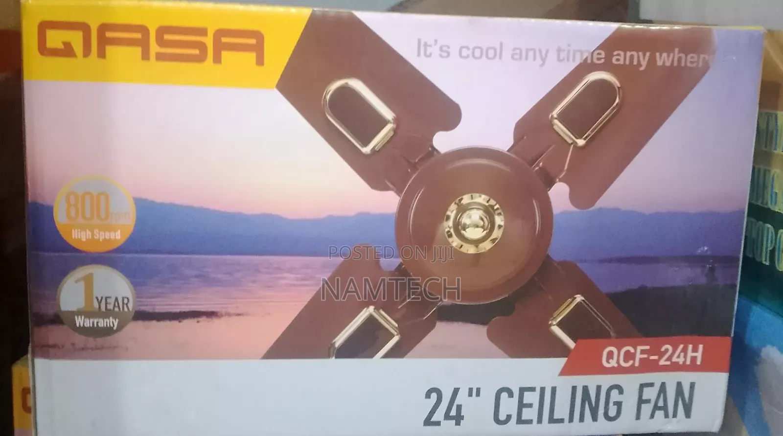 Qasa 24"" Ceiling Fan