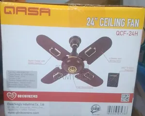 Qasa 24"" Ceiling Fan
