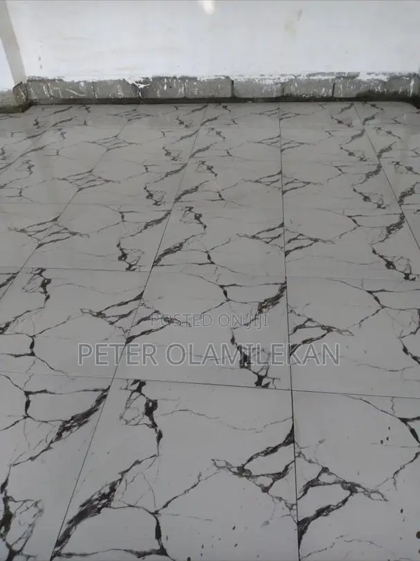 Professional Tiler