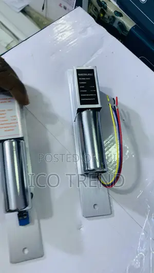 5wire Drop Bolt Lock With Timer and Feedback(5 Wire, Silver