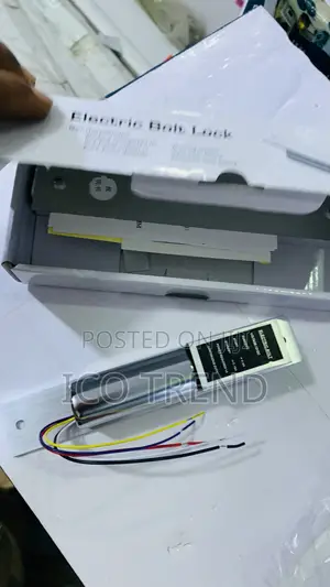 5wire Drop Bolt Lock With Timer and Feedback(5 Wire, Silver