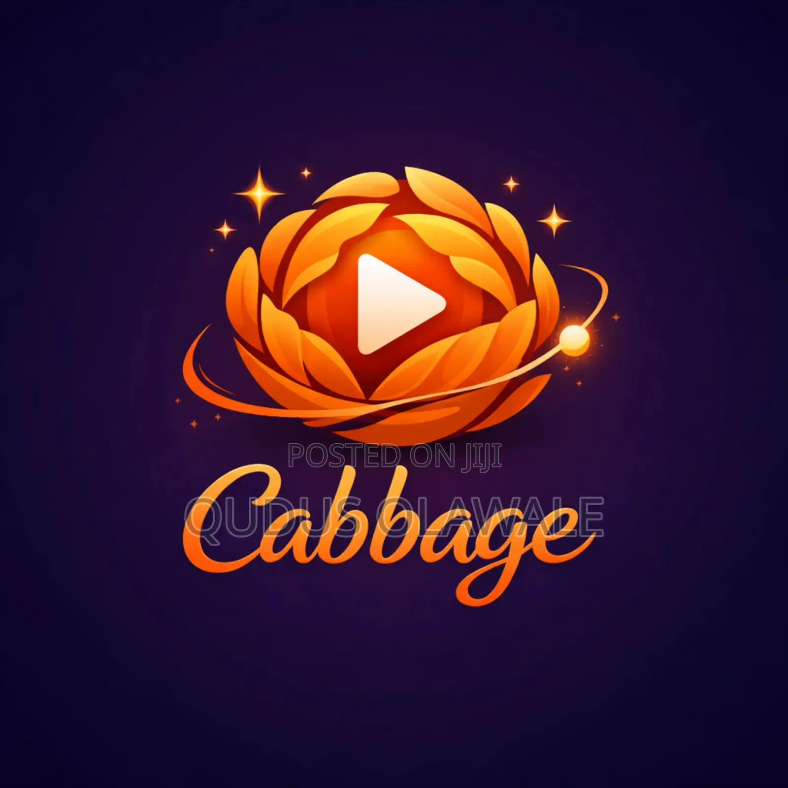 Professional Graphic Designer Logo And Flyer Designs