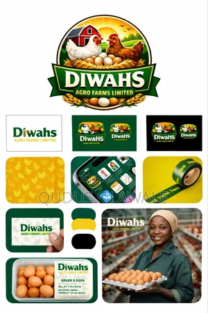 Professional Graphic Designer Logo And Flyer Designs
