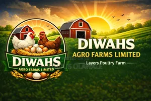Professional Graphic Designer Logo and Flyer Designs