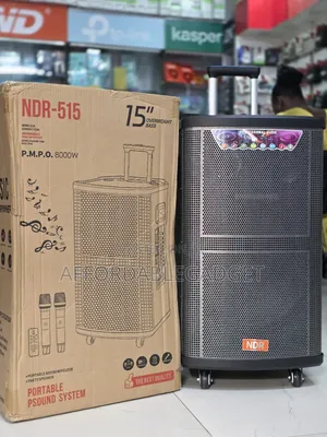 Public Address System With 2 Mic