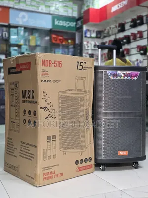 Public Address System With 2 Mic