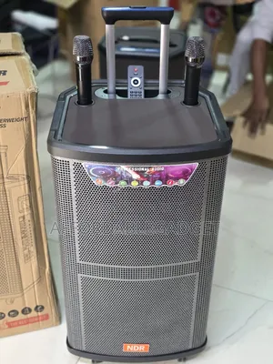 Public Address System With 2 Mic