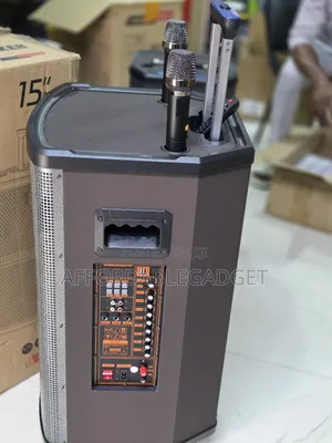 Public Address System With 2 Mic