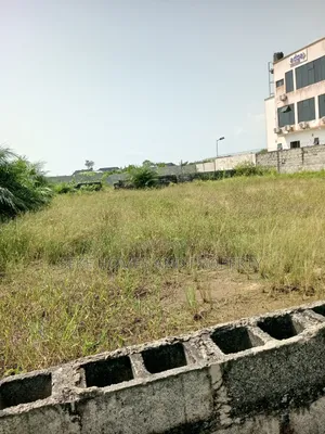 Two Plot of Land Oreki