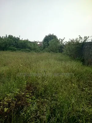 6plot Together at Eluju, Fence and Gated