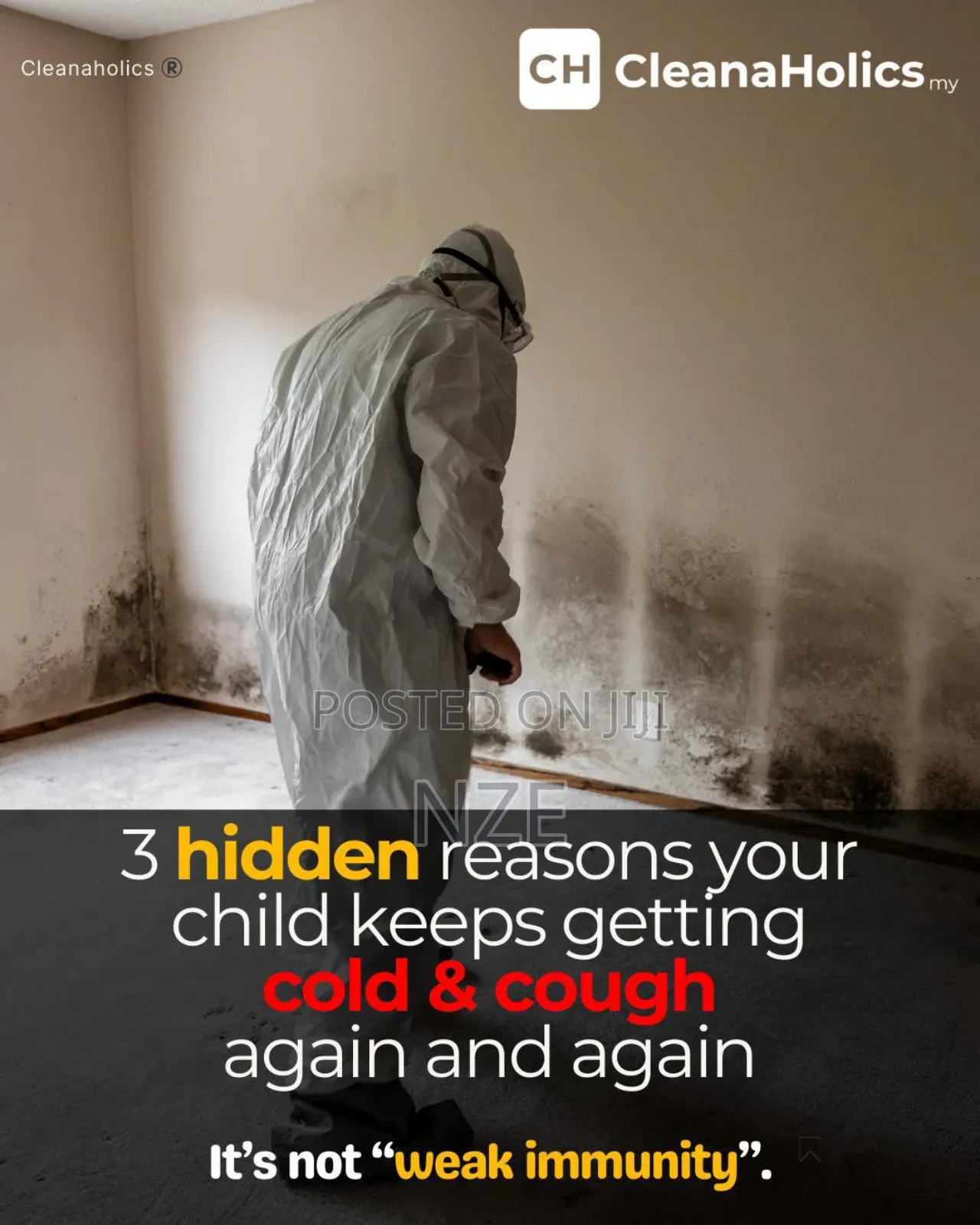 Mold Treatment Specialist