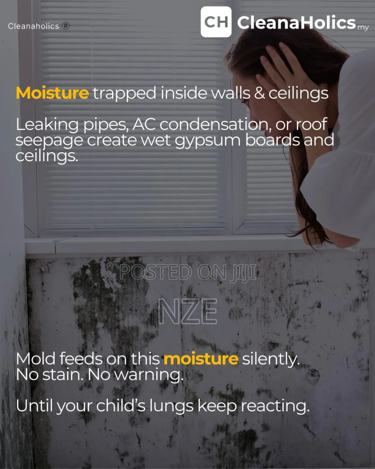 Mold Treatment Specialist