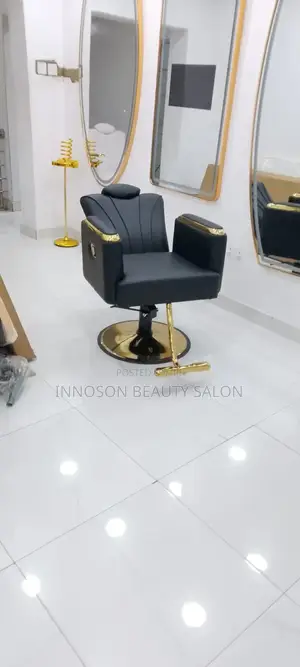Salon Chair
