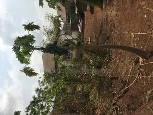Bungalow and Empty Plots