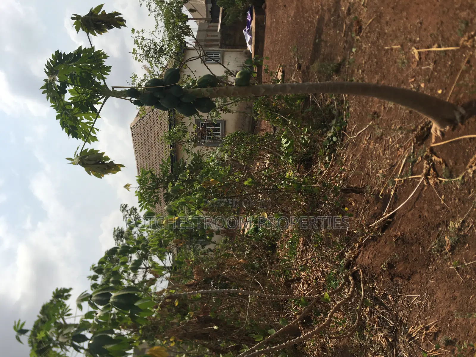 Bungalow and Empty Plots
