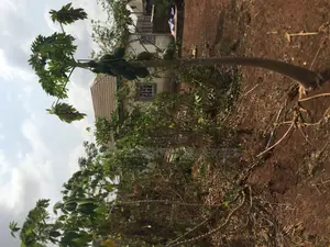 Bungalow and Empty Plots