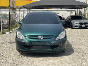 Peugeot 307 2005 Gray