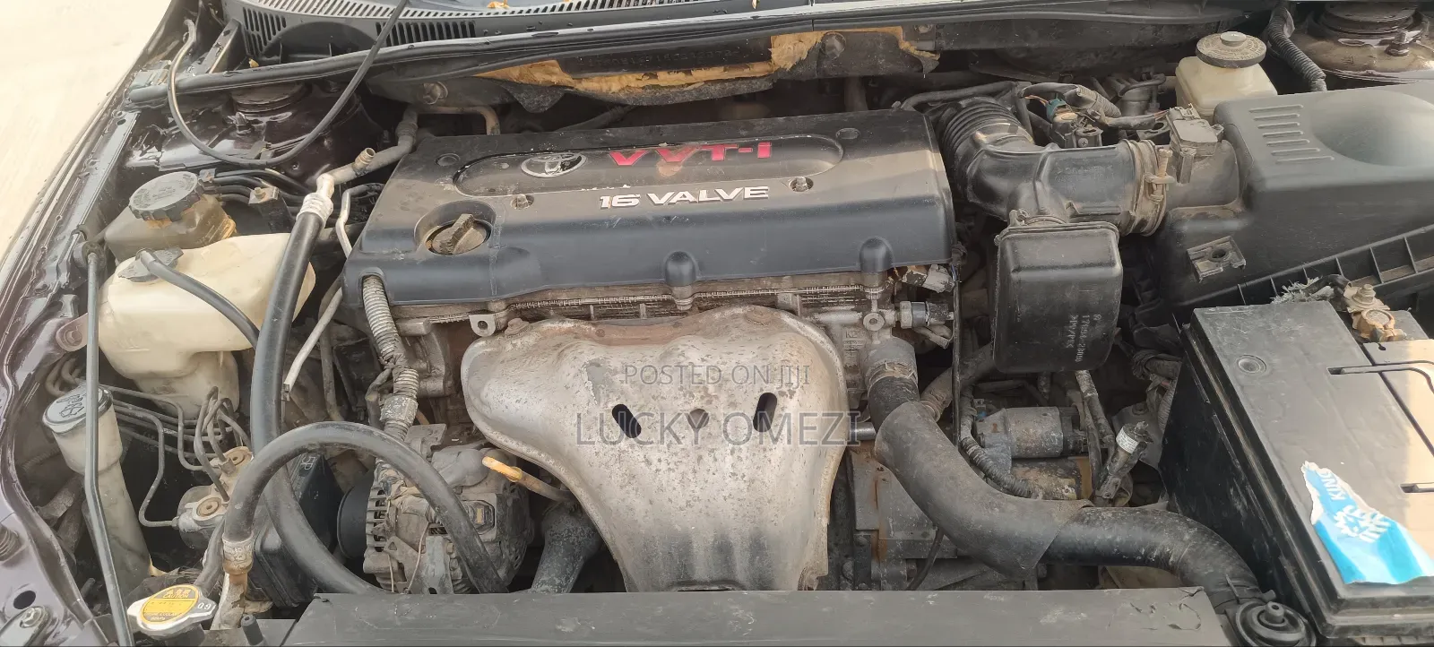 Scion tC Base 2008 Brown