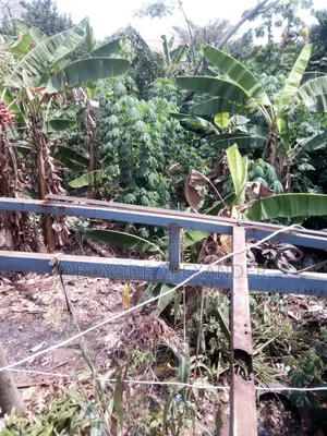 Half Plot of Land