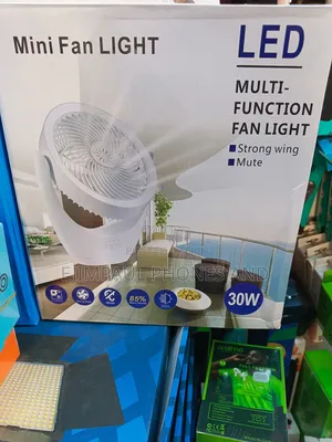 E27 Led 30w Indoor Bedroom Silent Remote Control Fan Light - White