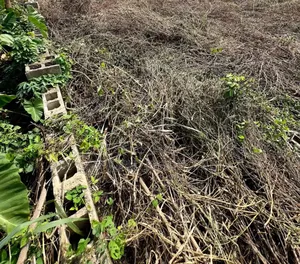 A Plot of Land at Opposite First Bank Oke Ado Ibadan