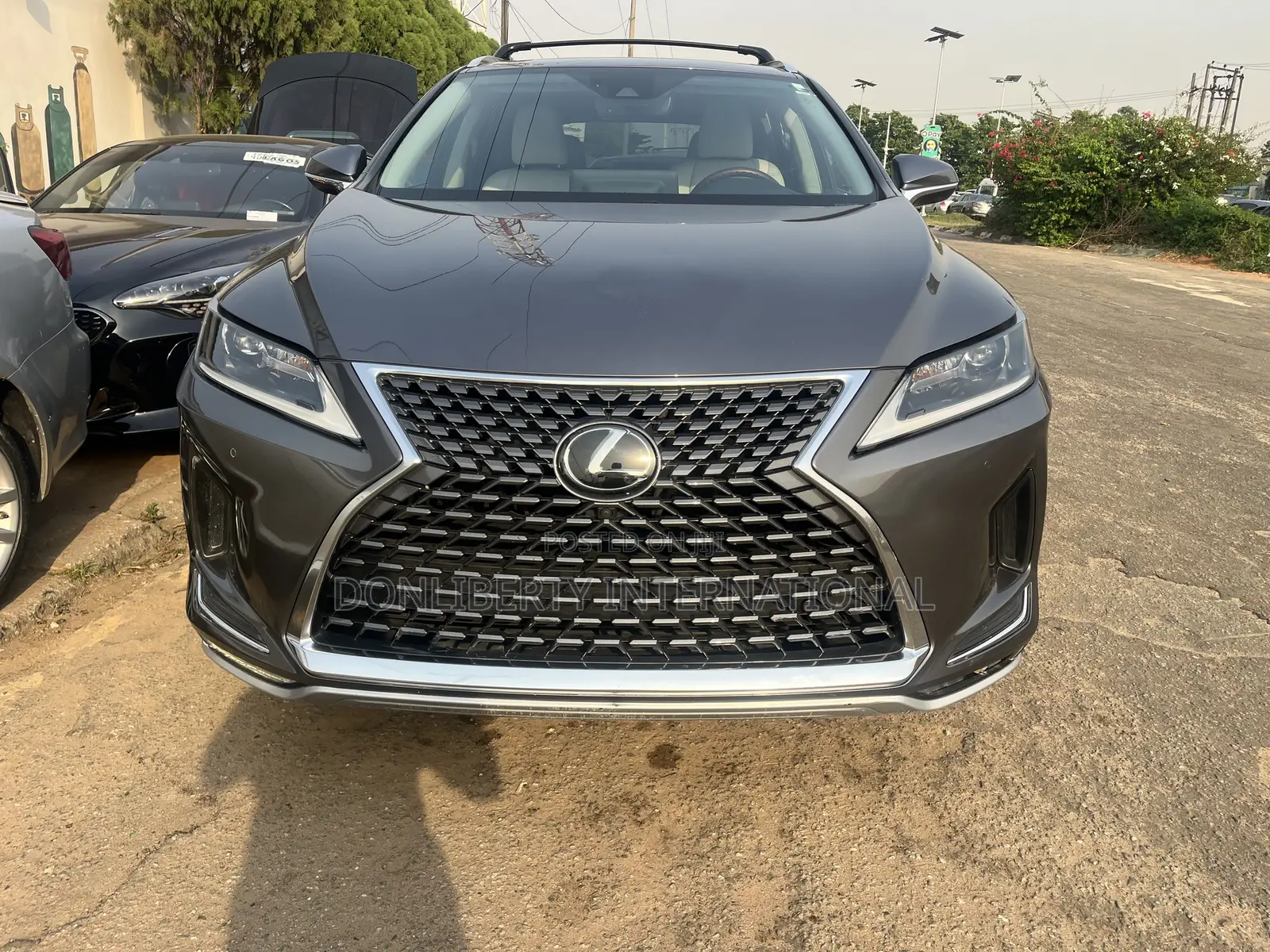 Lexus RX 2022 Gray