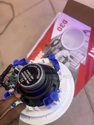 Ceiling Speaker
