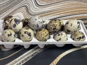 Premium Quail Eggs