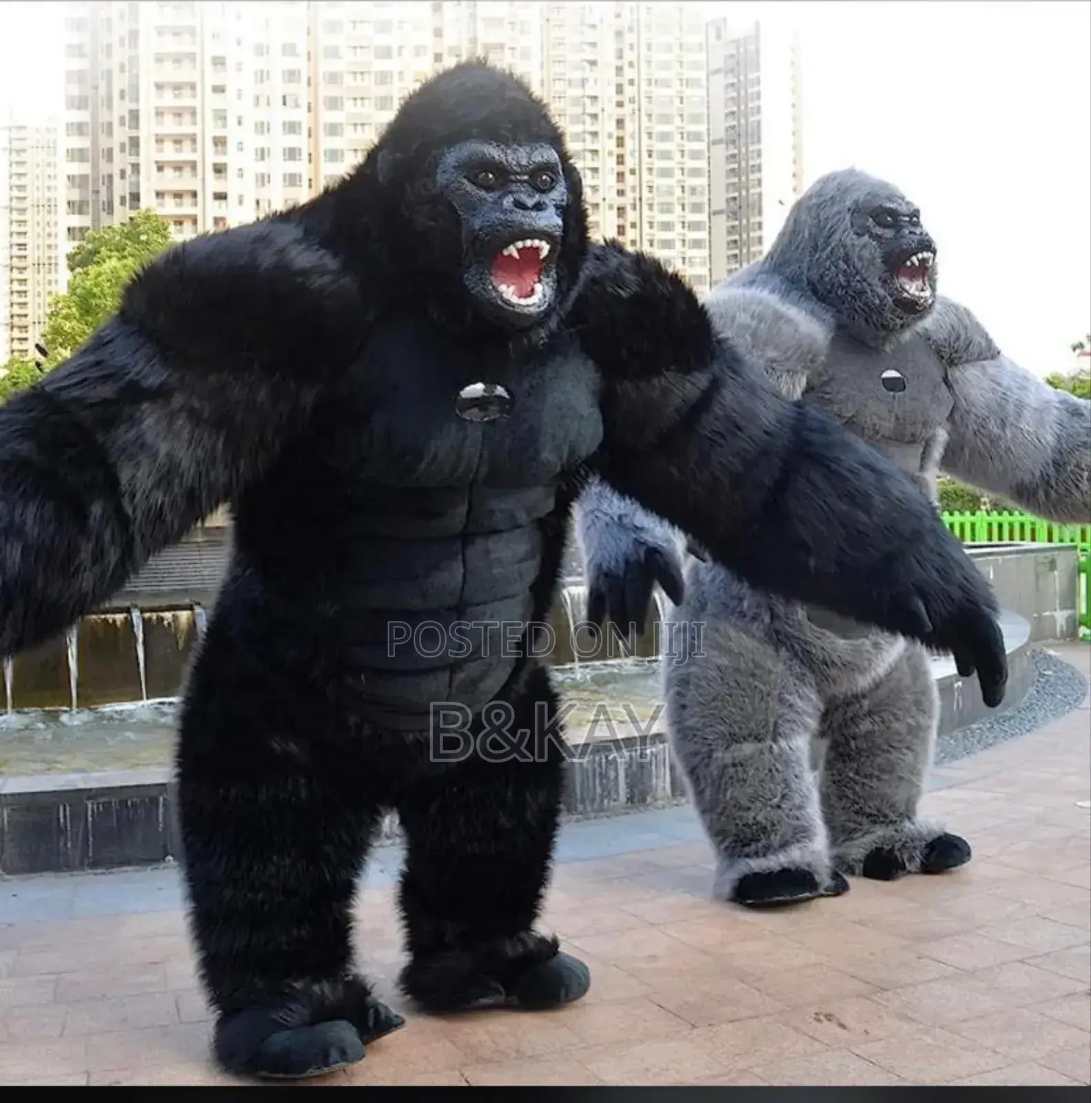Gorrila Custom