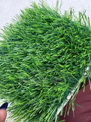 Quality Grass Carpet