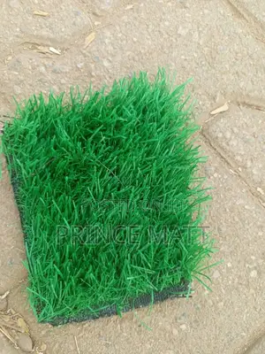 Carpet Grass