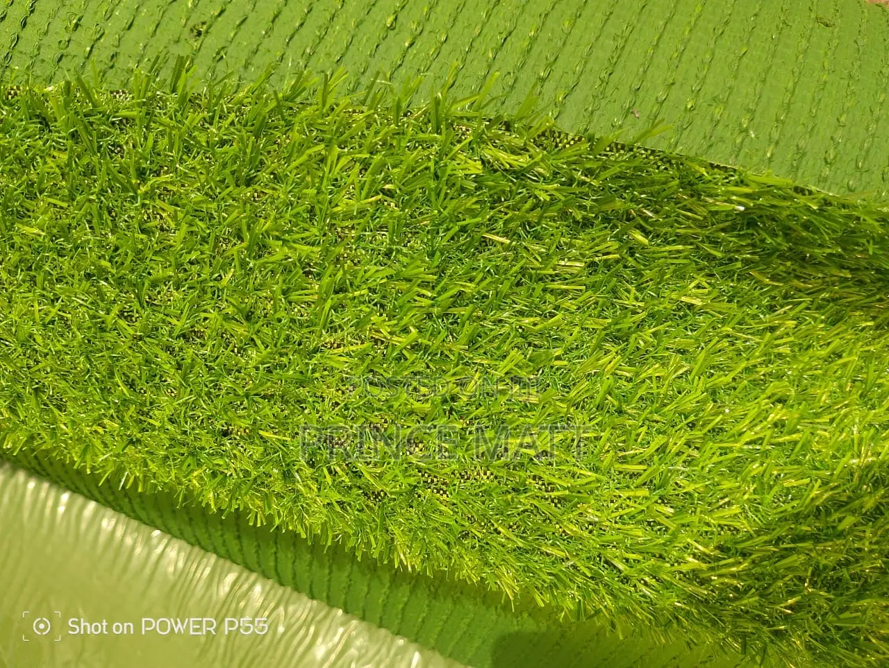 Carpet Grass