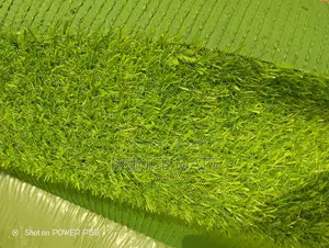 Carpet Grass