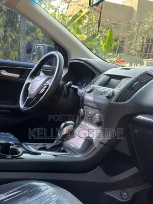 Ford Edge 2018 Gray