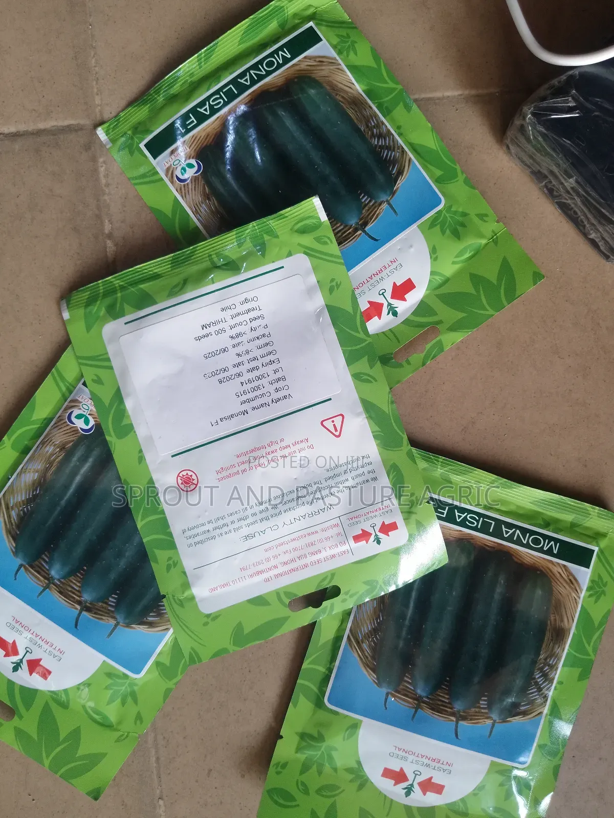Monalisa Cucumber Seeds