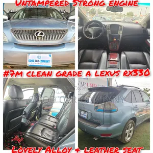 Lexus RX 330 4WD 2003 Blue