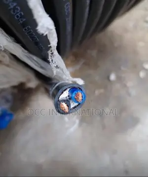 10mm 2 Core Flexible Cable