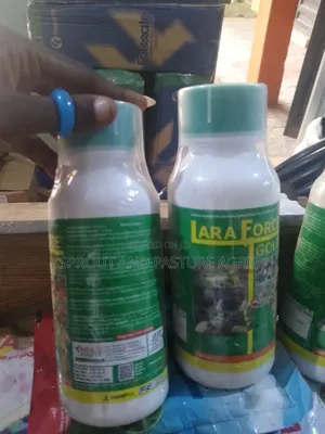 Laraforce Gold