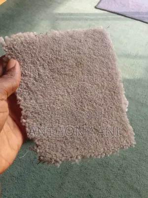 Rugs Available
