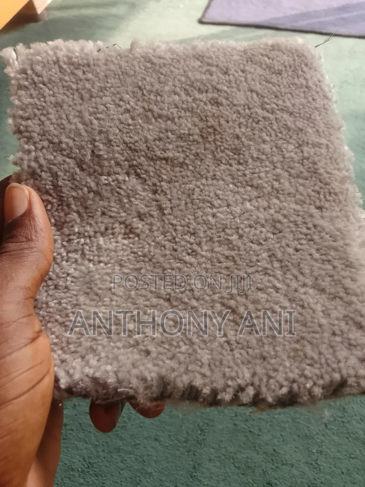 Rugs Available